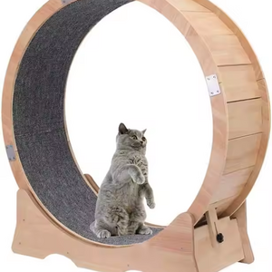 Cat Wheel Large for Indoor Cats Cat Running Easy Assembled Moisture-Proof small Pet Treadmill Running Wheel