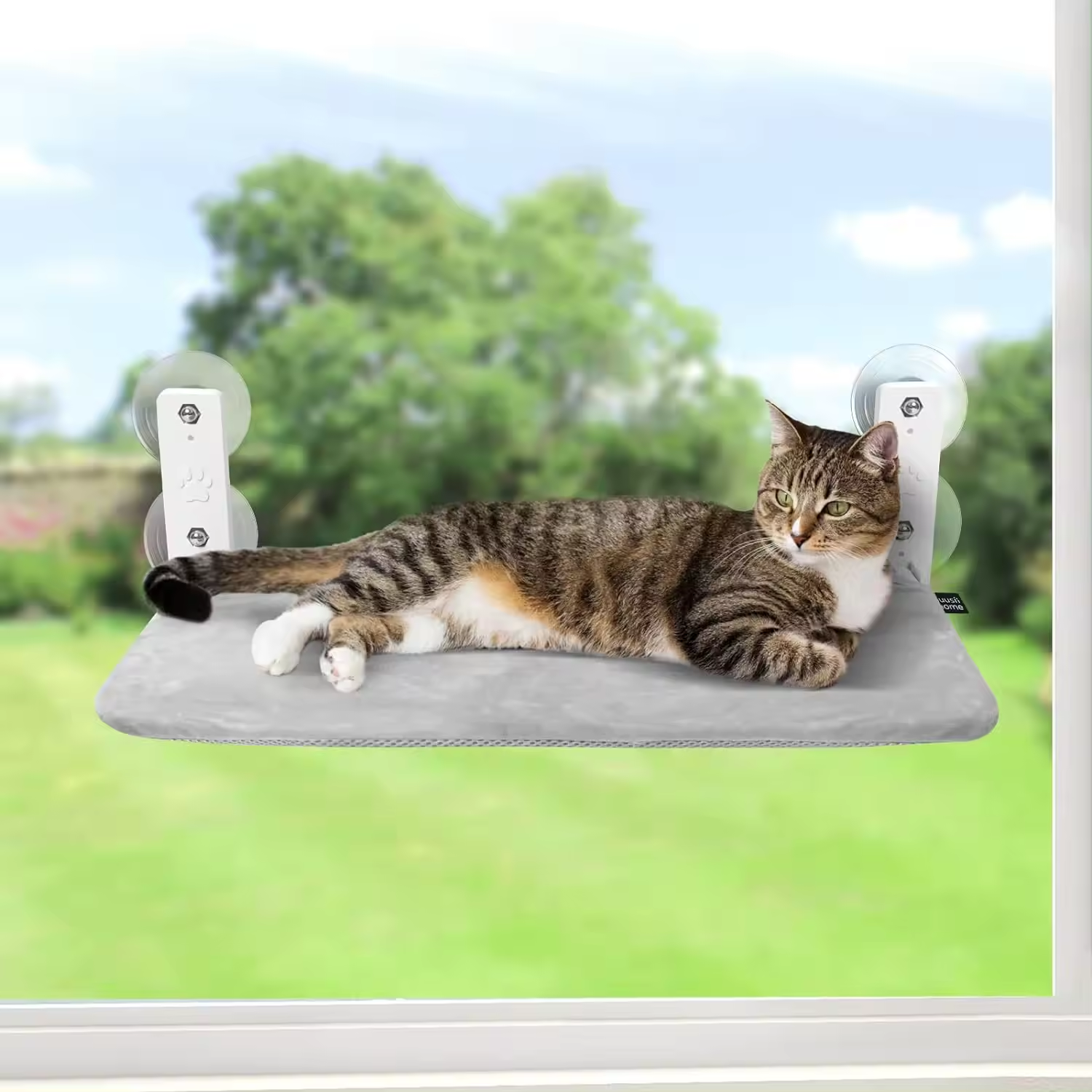 Cordless Metal Cat Window Perch Hammock Cat Bed Window Mounted For Large Cats