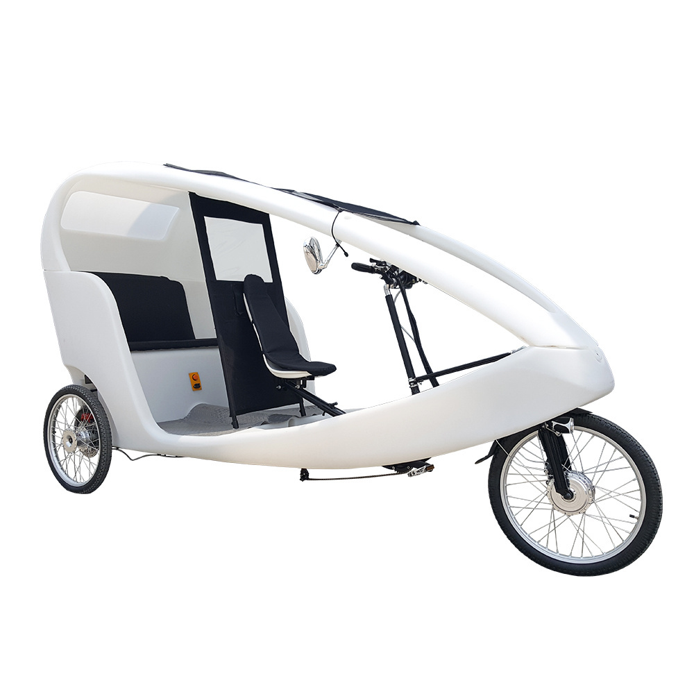 1000watt 3 Wheel Bike Taxi Car Pedicab Two Passenger Loading Cheap Adult Electric Tricycle Recumbent Trike