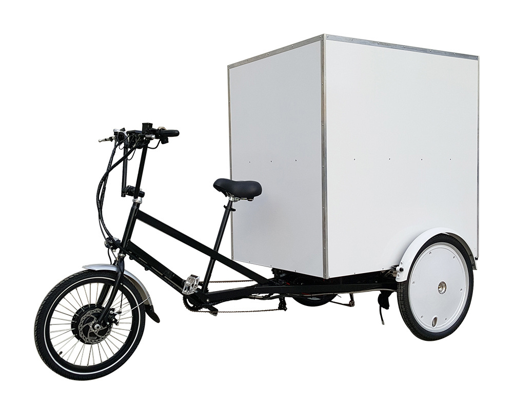 Advertising Electric Pedicab Food Delivery cheap tuk tuk Cargo Tricycle for sale