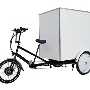 Advertising Electric Pedicab Food Delivery cheap tuk tuk Cargo Tricycle for sale