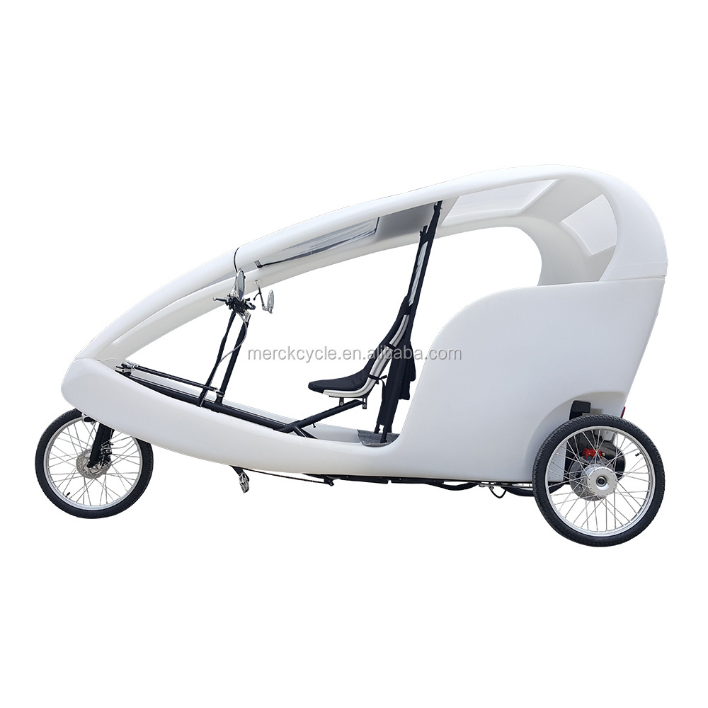 Three Wheel 48V 500W Outdoor Advertising Park Tour Velo Bike Taxi Pedal Assist Pedicab Rickshaw