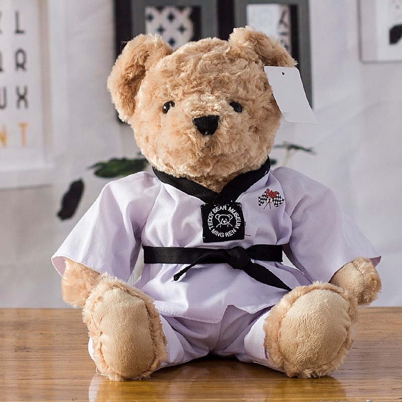 Custom cute teddy bear stuffed Taekwondo competition mascot toy bear plush