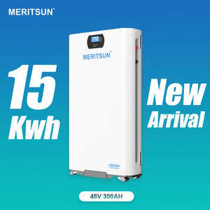 Meritsun 15Kwh LiFePO4 Lithium Ion Battery Pack 48V 300Ah Energy Storage Battery