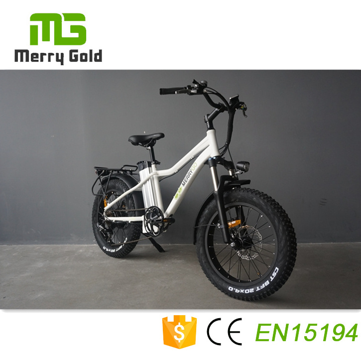 Fashion small 20 inch fat tire ebike with suspension fork electric kid bicycle