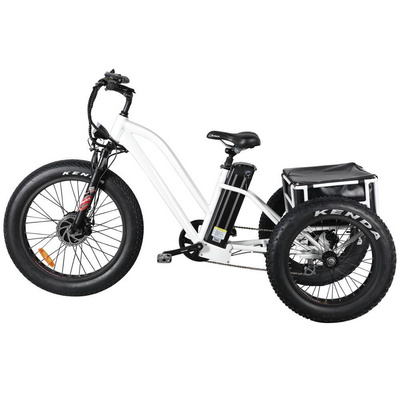 24" 500W FAT TIRE 3 WHEELS ELECTRIC TRIKE CARGO ELECTRIC TRICYCLE ELECTRIC BIKE for adult