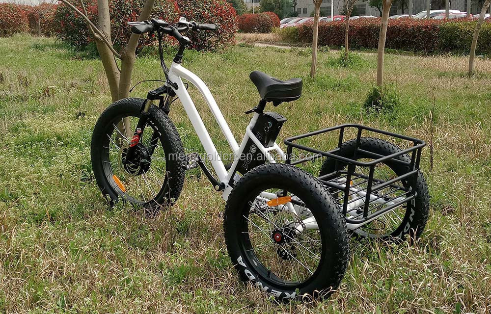 Hot Selling 3 wheel Electric Trike Bike, Trike Motorcycle, Drift Trike Motorized