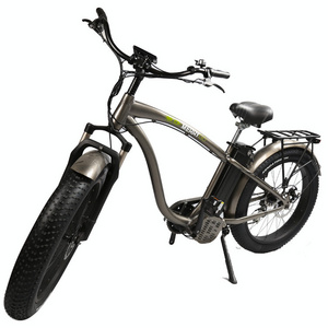 Beach Cruiser E Bike Fat Tire Electric Mountain Bike