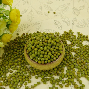 green mung beans