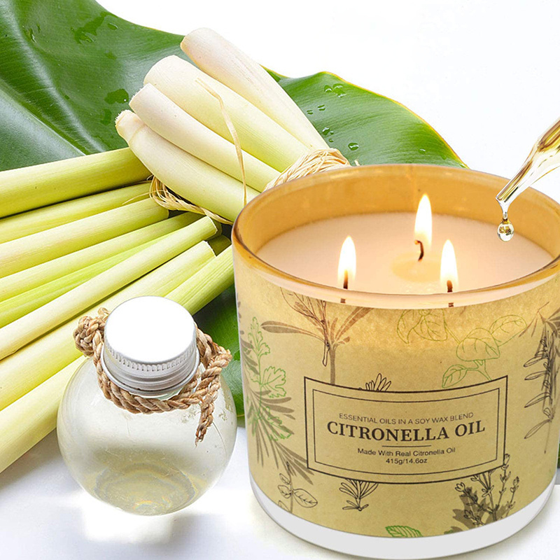 Long Lasting 3 Wick Jar Scented Aromatherapy Citronella Oil Candles Sets for Home Garden Patio Balcony