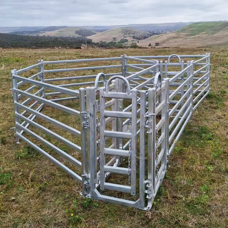 Premium 6 Rail Livestock Cattle Panels Fence horse sheep stockyard corral panel yard