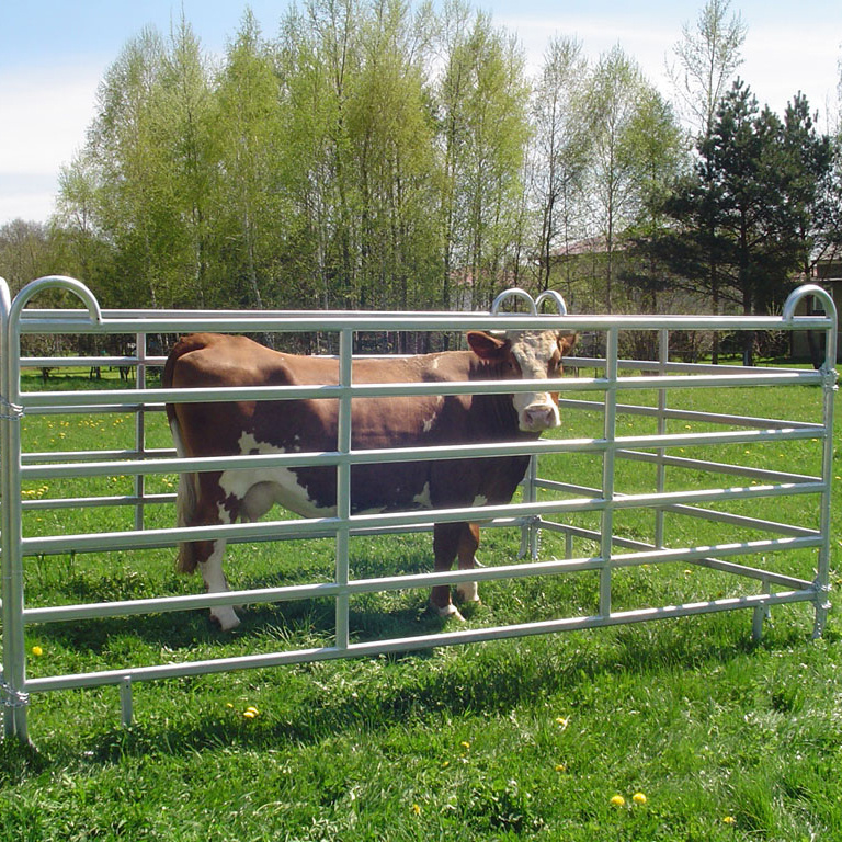 Hot dipped galvanized livestock panels, cattle fence, used horse fence panels