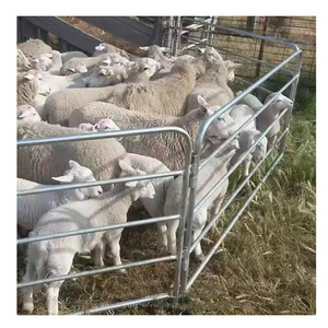 Good sales sheepyard mesh sheep and goat panels  /alpaca rail fence with high quality  sheep corral panels