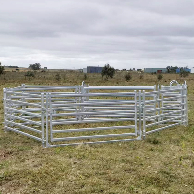 Premium 6 Rail Livestock Cattle Panels Fence horse sheep stockyard corral panel yard