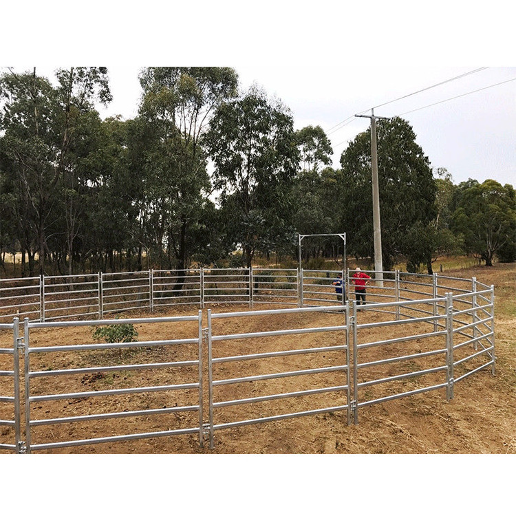 china supplier used horse stalls/used corral panels for sale