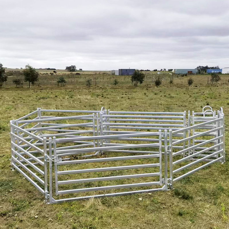 Premium 6 Rail Livestock Cattle Panels Fence horse sheep stockyard corral panel yard