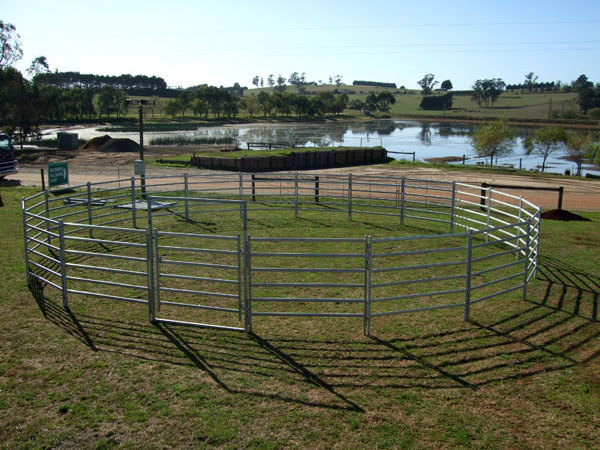 Livestock Galvanized Cattle Fence Panel