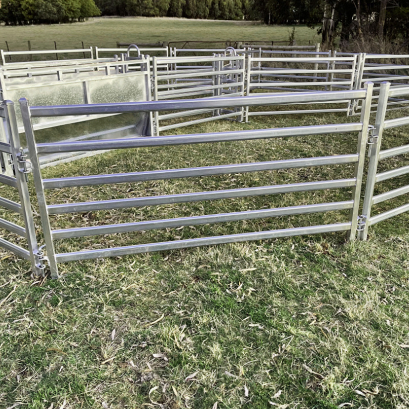 Premium 6 Rail Livestock Cattle Panels Fence horse sheep stockyard corral panel yard