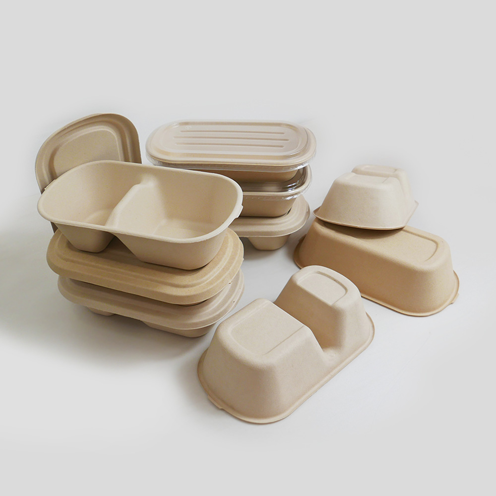 Biodegradable Disposable Bamboo Fiber Paper Pulp PET/PLA/PP Material round Food Box Plates with Lid Parties Catering Restaurants