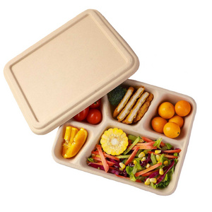 Biodegradable Disposable Bamboo Fiber Paper Pulp PET/PLA/PP Material round Food Box Plates with Lid Parties Catering Restaurants