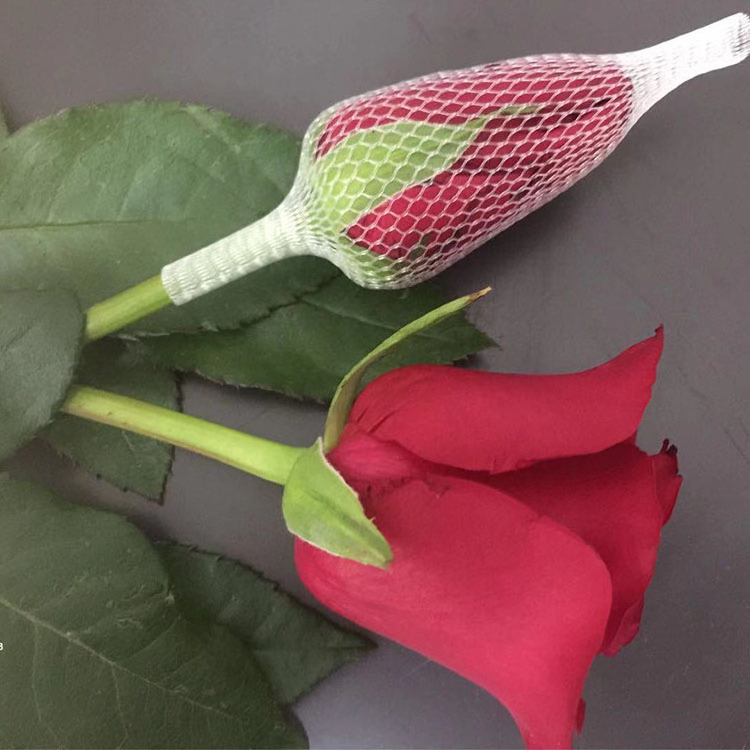 Plastic Floral Protection Nets Rose Bud Nets Rose Wraps Rose protective mesh sleeve