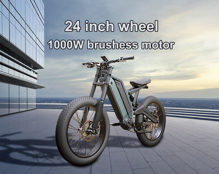 48v  double battery mid motor 24 Inch lithium battery ebike 1000w fat tyre electric  e bike motorcycle