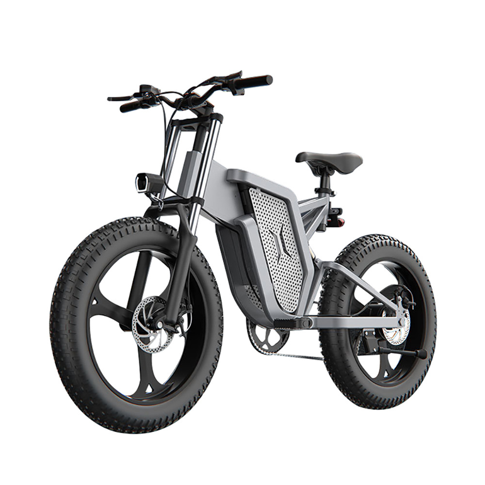 250W 350W 500W 750W 1000W Aluminium Alloy City E Electric Bike EU Europe Dutch Warehouse Dropshipping 20 inch Fat Tire Ebike 48V