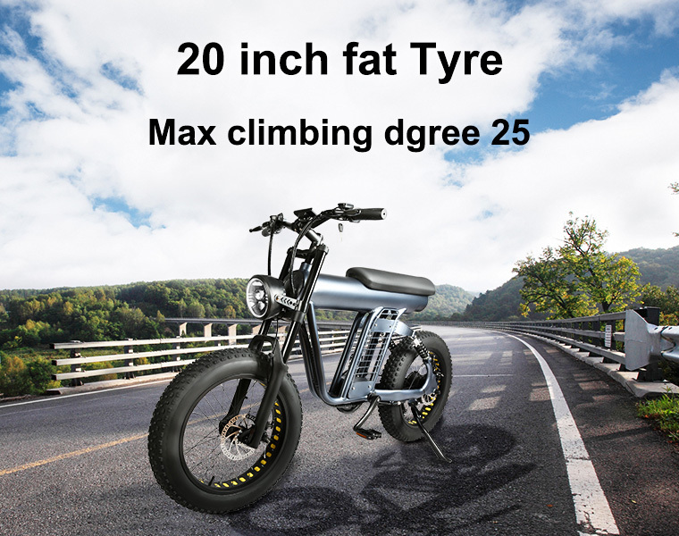 14 16 20 24 26 inch Fat Tire Bafang Motor Lithium Battery Aluminum Alloy Electric Bike Folding Foldable Road City Mountain eBike