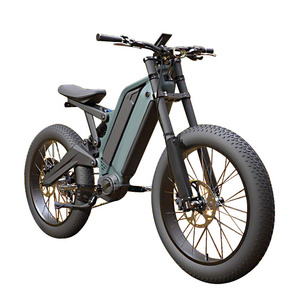 24 inch Fat Tire 9 Speed Electric Dirt Bike 1000W 48V 15AH 10AH Dual Lithium Battery Aluminum Alloy Adult Bafang Middrive eBike