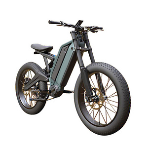 24 inch Fat Tire 9 Speed Dual Lithium Battery Aluminum Alloy Adult Electric Dirt eBike Bafang Central Mid Drive E Bike 1000W 48V