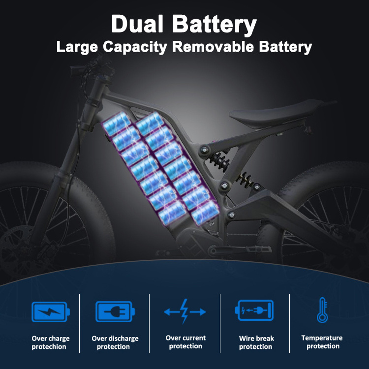 24 inch Fat Tire 9 Speed Dual Lithium Battery Aluminum Alloy Adult Electric Dirt eBike Bafang Central Mid Drive E Bike 1000W 48V