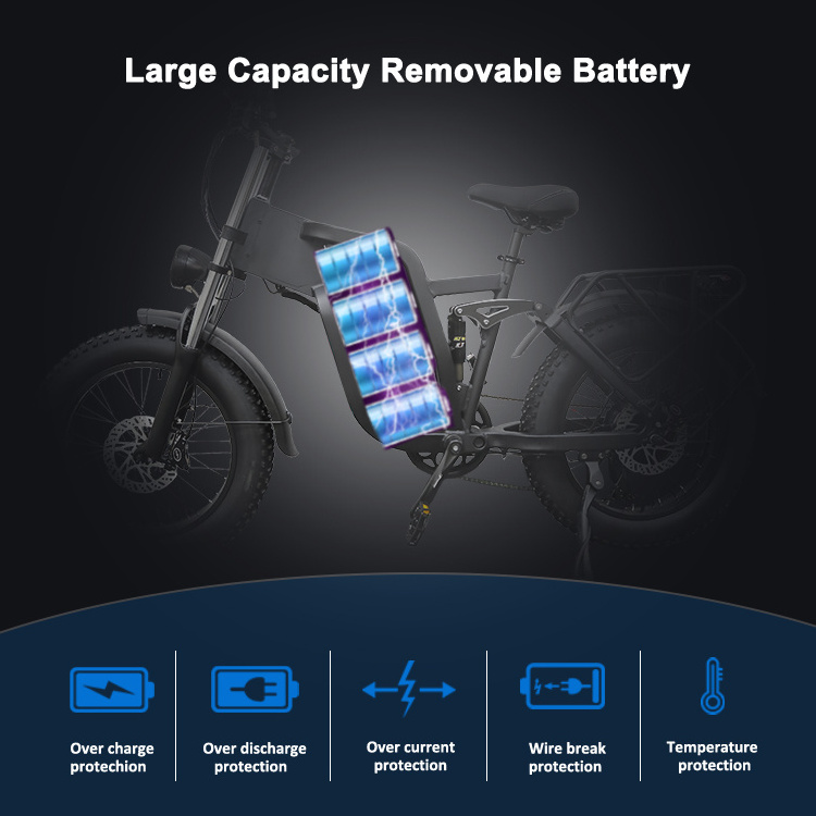 1000W 48V 10AH 15AH 20AH 25AH 30AH Lithium Battery Aluminum Alloy 7 Speed Adult E eBike 20 inch Fat Tire Electric Mountain Bike