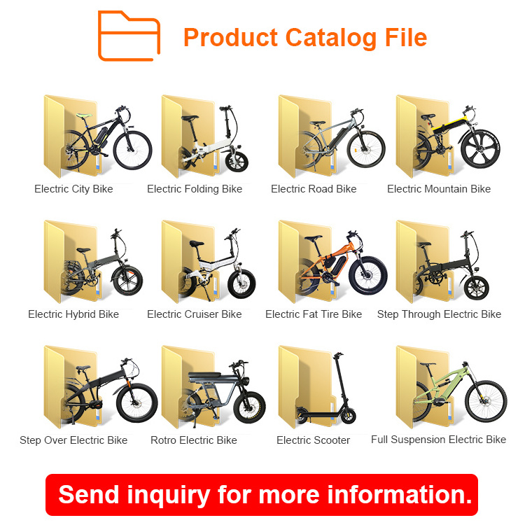 24 inch Fat Tire 1000W Bafang Central Mid Drive eBike 48V 15AH 10AH Dual Lithium Battery Aluminum Alloy OEM Electric E Dirt Bike