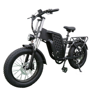 1000W 48V 10AH 15AH 20AH 25AH 30AH Lithium Battery Aluminum Alloy 7 Speed Adult E eBike 20 inch Fat Tire Electric Mountain Bike