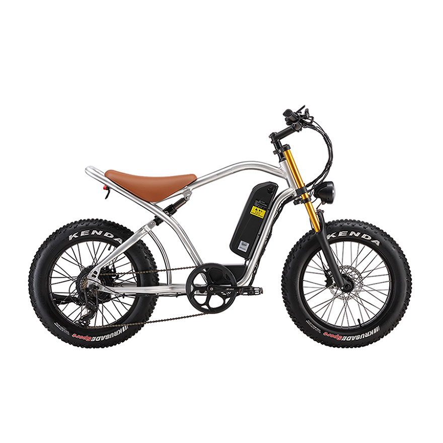 750W 48V 16AH 25AH Lithium Battery Aluminum Alloy Retro Vintage Electric eBike Cafe Racer Off Road Fatbike Tire 20 inch Fat Bike