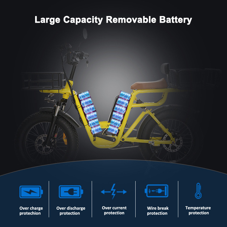 20inch Fat Tire 750W 48V 15AH Lithium Battery Aluminum Alloy Hydraulic Disc Brake Delivery Cargo eBike Electric Bike 2 Batteries