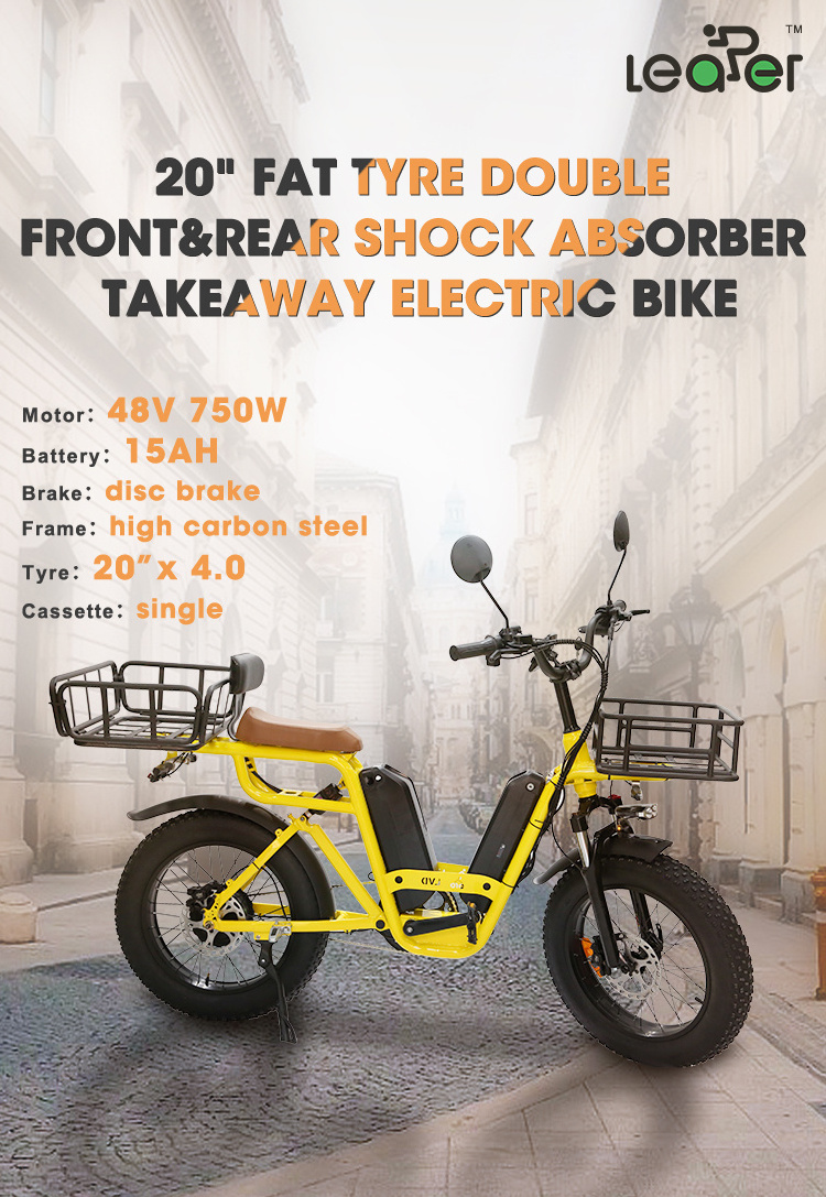 20inch Fat Tire 750W 48V 15AH Lithium Battery Aluminum Alloy Hydraulic Disc Brake Delivery Cargo eBike Electric Bike 2 Batteries