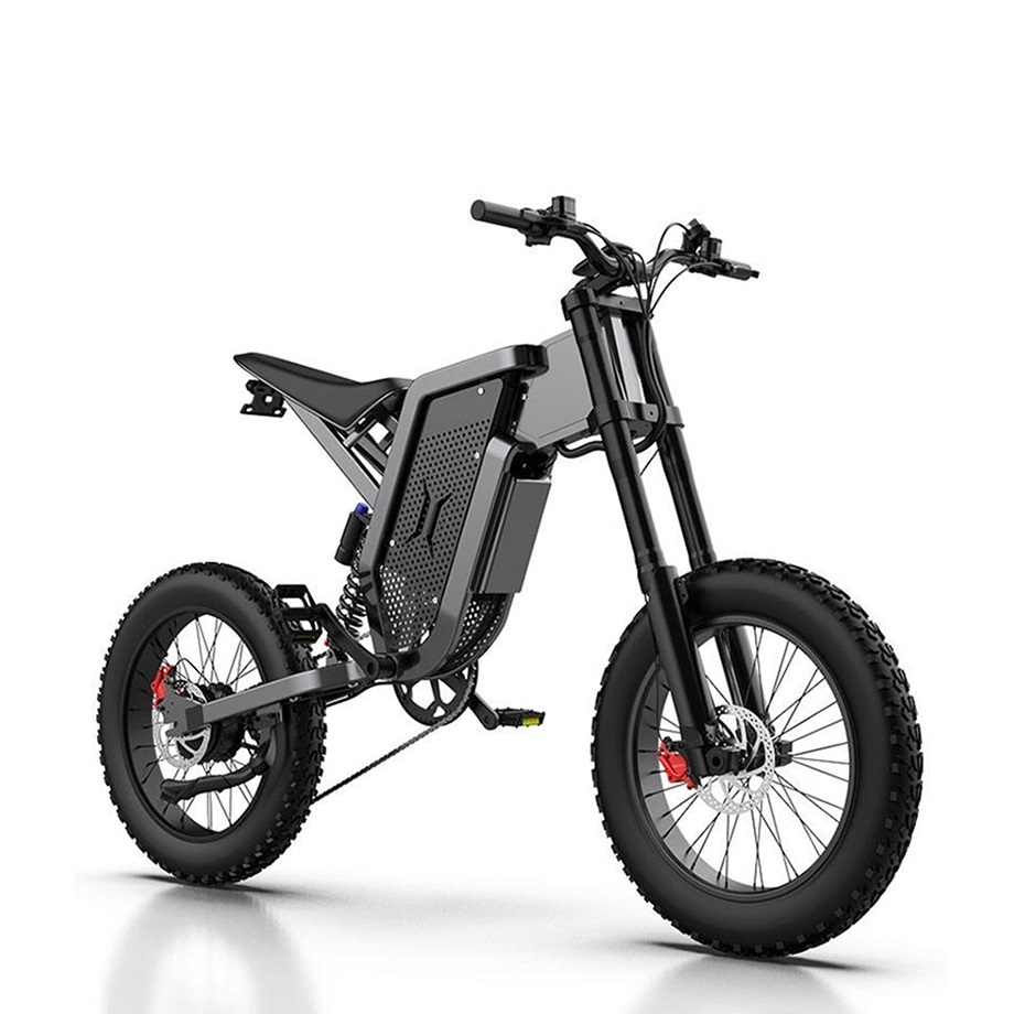 Double Hydraulic Brake 48V 35AH Lithium Battery Aluminum Alloy OEM X21 eBike Dirt Off Road Electric 20 inch Tire Fat Bike 2000W