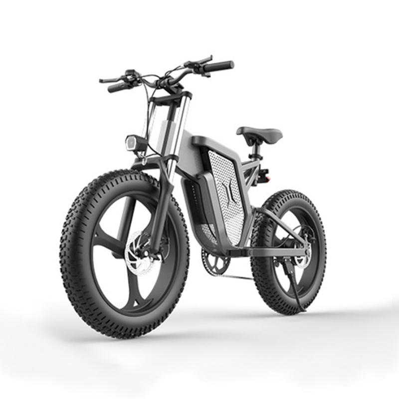 500W 1000W 2000W 3000W 4000W Fat Tire Mid Drive Electric Bike Mountain City Folding Foldable Dirt Cruiser Cargo Electrical eBike