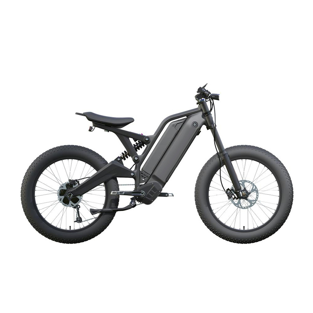 24 inch Fat Tire 1000W Bafang Central Mid Drive eBike 48V 15AH 10AH Dual Lithium Battery Aluminum Alloy OEM Electric E Dirt Bike