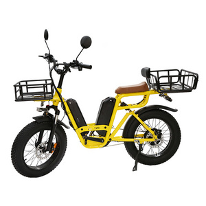 20inch Fat Tire 750W 48V 15AH Lithium Battery Aluminum Alloy Hydraulic Disc Brake Delivery Cargo eBike Electric Bike 2 Batteries