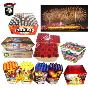 remote control 100 200 600 shots cake fireworks type and Christmas 0.8 1 1.2 inch occasion big cake fireworks 2024 for wholesale