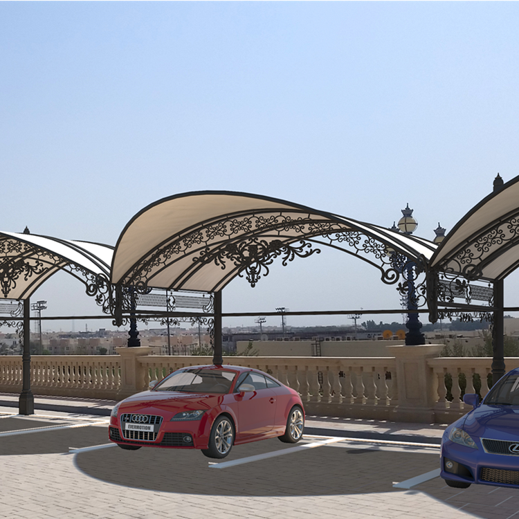 Wrought Iron Car Parking Shade/Car Parking Shed