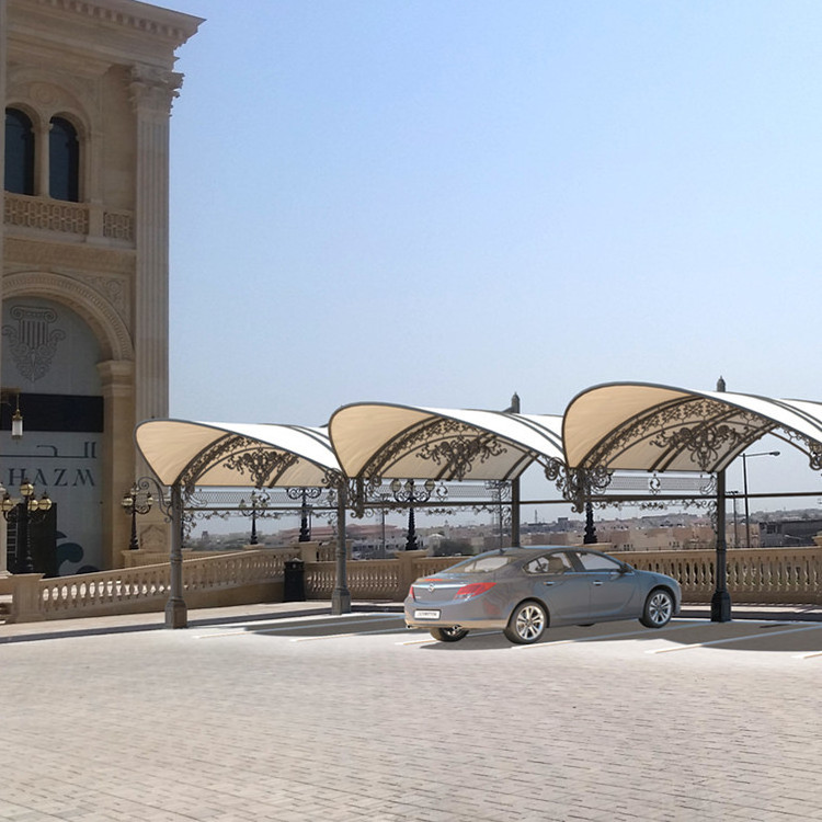 Wrought Iron Car Parking Shade/Car Parking Shed