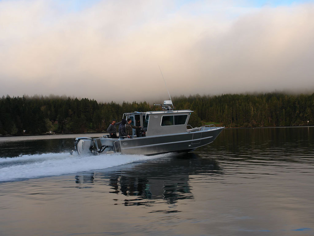 Aluminum Landing Craft Cabin Work Boat Crane for sale