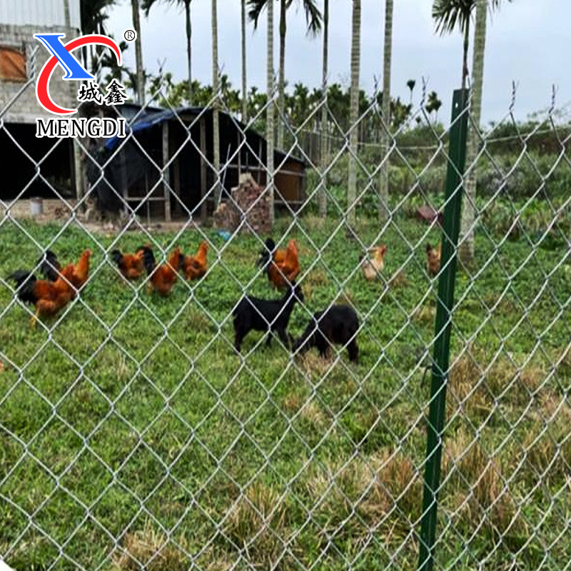 CHINA Factory Hot Dipped Galvanized Diamond Mesh 6ft Chain Link Fence For Chicken Farm