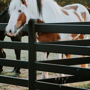 Cheap Price Black Color Horse Farm Fence Galvanized 4 Horse Steel Board Fence