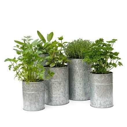 Galvanized Customized Rustic Metal Planters Bucket Wholesale Supplies Farmhouse Cheap Plant Stand At Reliable Prices