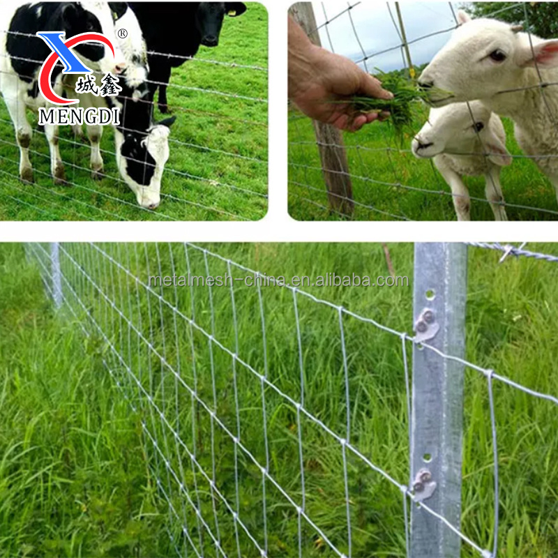 Strongest field cheap farm fence with factory price for cattle and goat