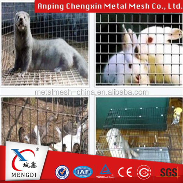 Stainless Steel Wire Netting /316 304 Welded Wire Mesh/Wire Mesh Filter